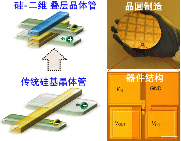突破！复旦团队发明晶圆级硅基二维互补叠层晶体管-芯城品牌采购网